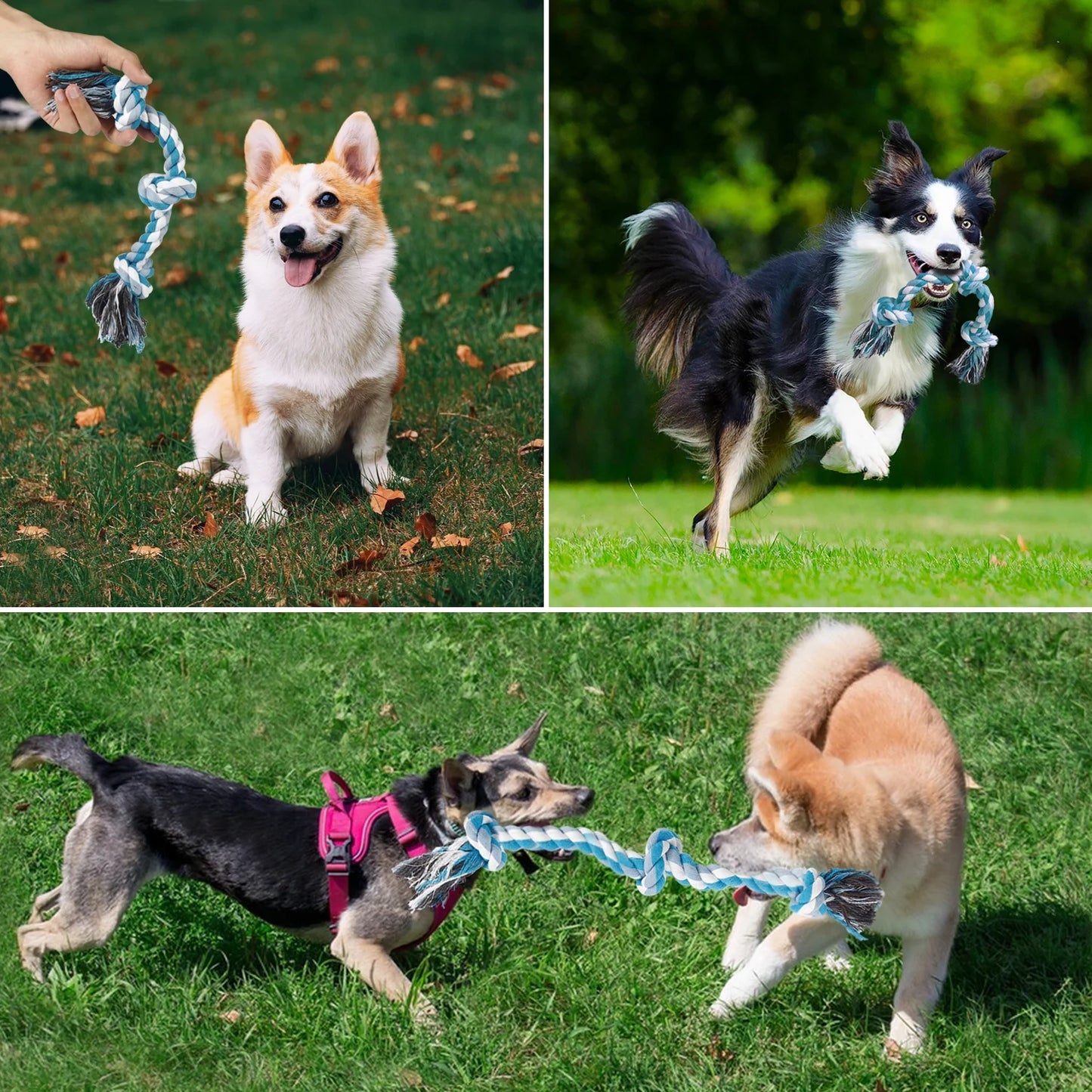 Vivifying 14 Inch Dog Rope Toys, Gift for Pets Dog Chew Toys Durable Braided Cotton Pet Chew Rope Toys 3 Knot Tough Rope Chew Toys for Small Dog Cat Puppy Teeth Cleaning Pink